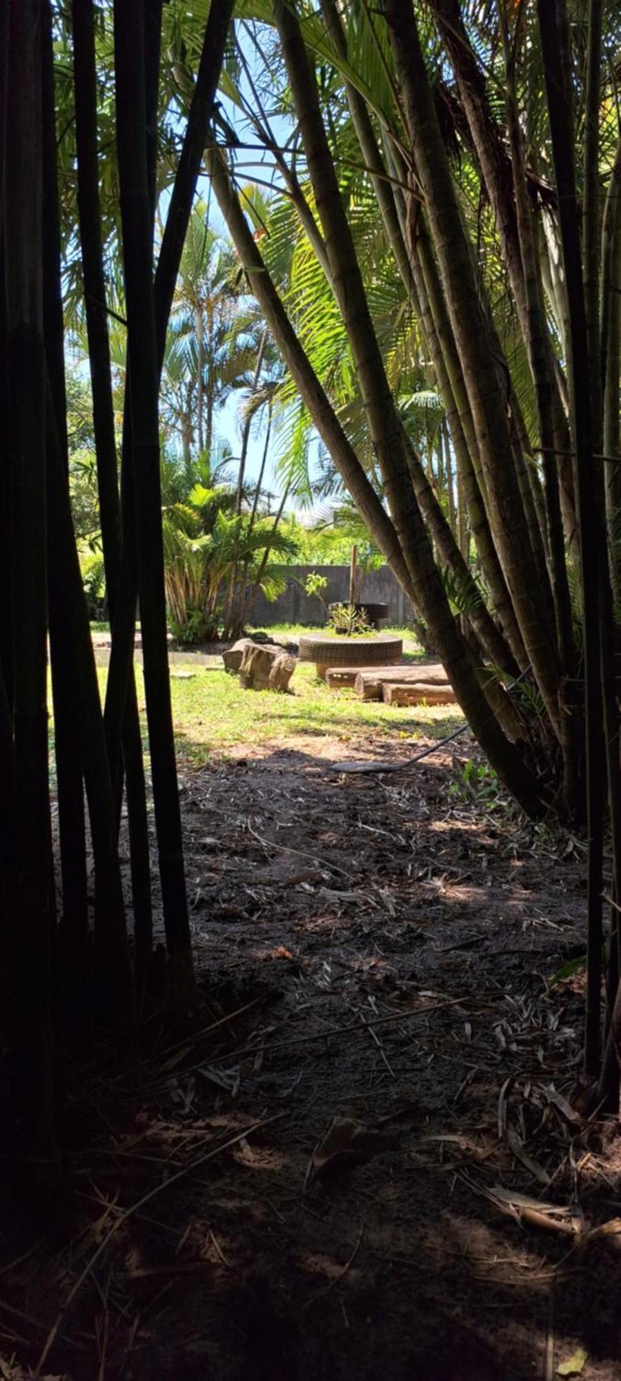 イーリャ・コンプリーダChapeu De Sol - Area Gourmet, Tv, Internet, Roupas De Cama E Banho, Jardim, Horta E Pomarアパートメント エクステリア 写真